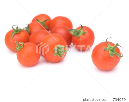 Mini Tomato White Back Mini Tomato White Back 734079