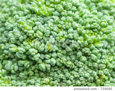 broccoli broccoli 734080