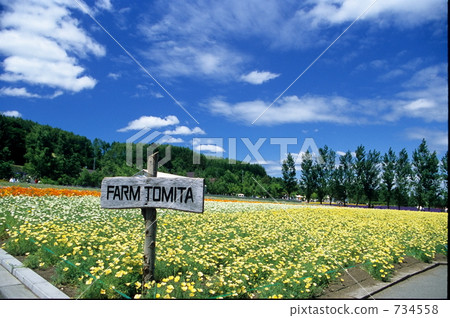 Colors of Furano Colors of Furano 734558