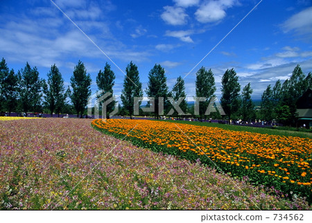 Colors of Furano 734562