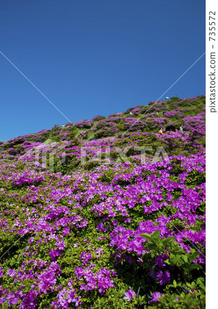 sensuikyo, natural scenery, landmark 735572