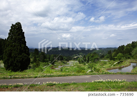 Matsunoyama Rice terrace of Kurokura 735690
