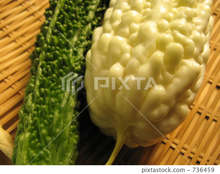 Summer of goya will come this year as well Summer of goya will come this year as well 736459