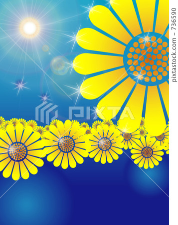 Sunflower Sunflower 736590