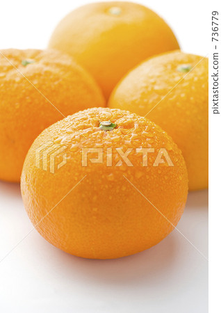 Sweet summer Sweet summer 736779