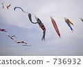Carp streamer 736932