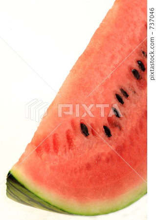 西瓜 737046