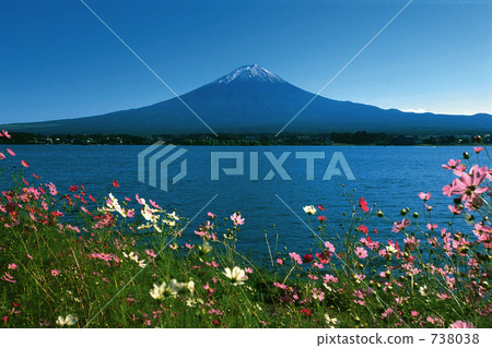 Mount Fuji and Cosmos 738038