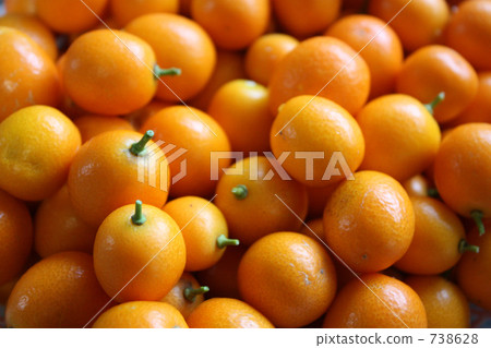 cumquat, cumquat (chinese orange), kumquat 738628