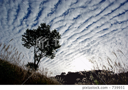 Cloud decorating the Akira mountain plateau 739931