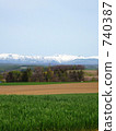 Biei of Spring 740387