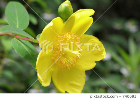 The quintessence of Rikugien The quintessence of Rikugien 740693