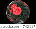 玫瑰球 742117