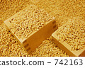 Rice grains Rice grains 742163