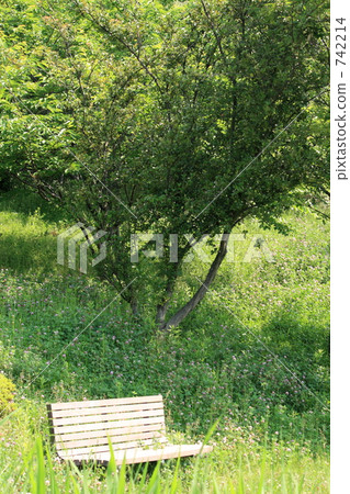 Bench 742214
