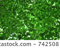 fresh verdure, tender green, verdure 742508