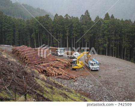 Log loading work Log loading work 742509