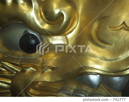 黃金虎鯨 黃金虎鯨 742777