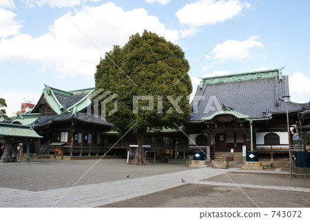 Shibamata Takumi Shibamata Takumi 743072