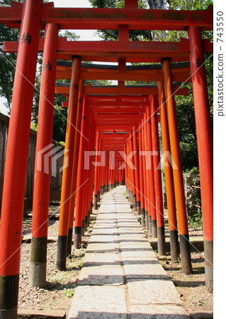 Torii 743550