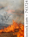 山燃燒 743724