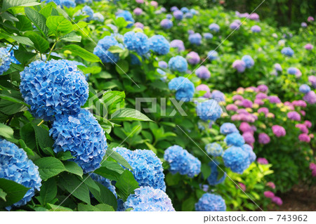 多雲 灰雲 陰天 743962