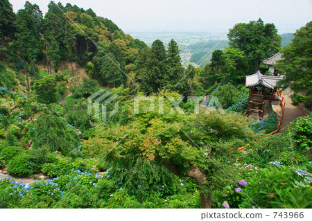 永林和川 綠葉 更多 743966