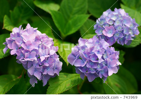 多雲 灰雲 陰天 743969