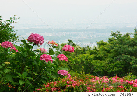 多雲 灰雲 陰天 743987