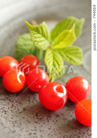 Fruit of a rustling one -1 744069