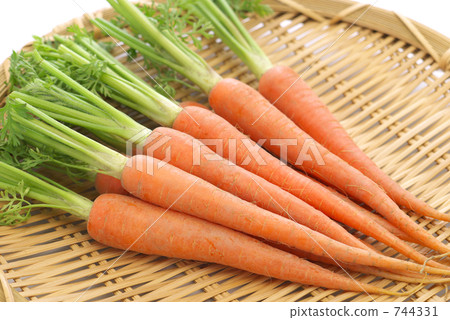 飲食 滋養品 營養物質 744331