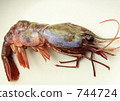 Grape prawn 744724