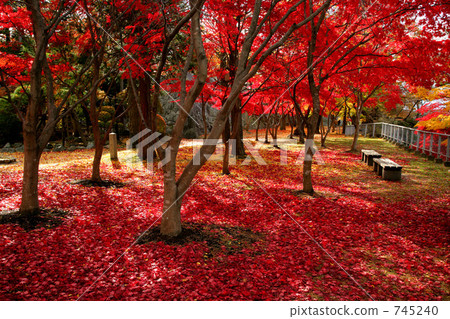Autumn Iwate Park (Morioka Castle Ruins Park) Autumn Iwate Park (Morioka Castle Ruins Park) 745240