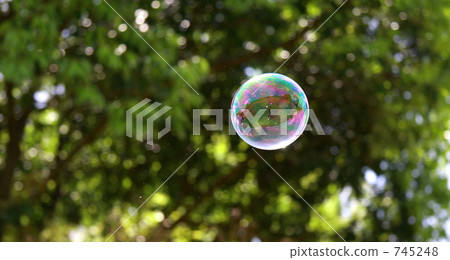 Bubble Bubble 745248