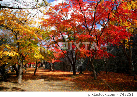 Autumn Iwate Park (Morioka Castle Ruins Park) Autumn Iwate Park (Morioka Castle Ruins Park) 745251