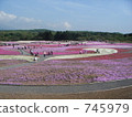 moss phlox, flower garden, flower field 745979