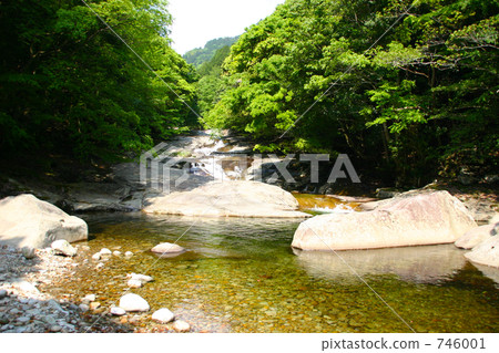 新鮮的綠色滑谷 746001