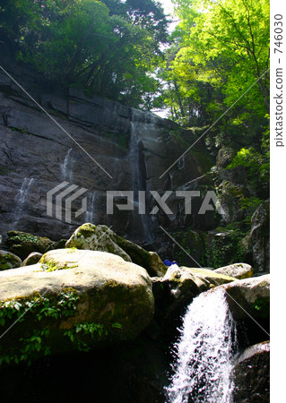 新鮮的綠色滑谷 746030