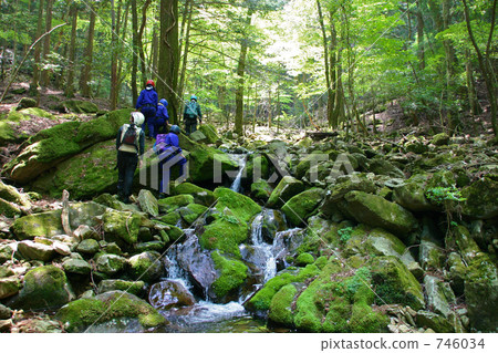 新鮮的綠色滑谷 746034