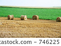 牧場 746225