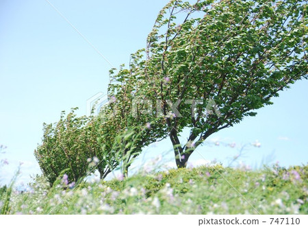 L'Occitane風格！ ？ 747110