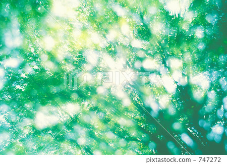 Fresh green Fresh green 747272