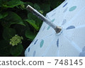 Polka dots on water 748145