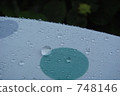 Polka dot on polka dots 748146