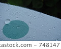 Polka dots on water 748147