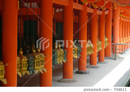 Early summer Kasuga Taisha 748611
