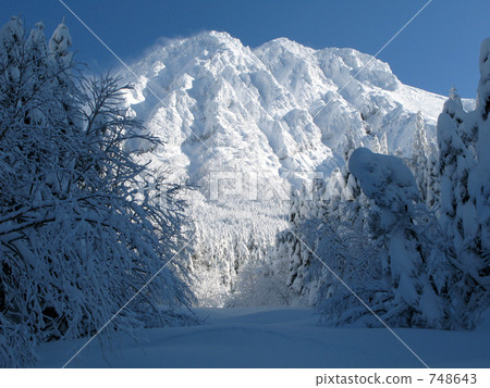 Shining snowy mountains 748643