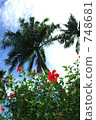 熱帶花卉 748681