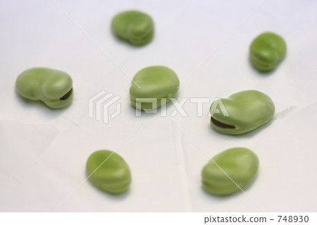 Broad beans Broad beans 748930