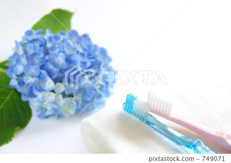 Beginning of the two seasons 2 749071